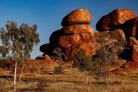 Impressive red rocks and trees in a sun-drenched desert landscape, Devil's Marbles, Northern