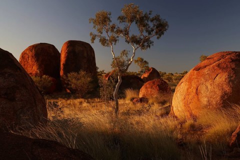 Natural landscape with distinctive large rocks and a lonely tree in warm sunlight, zero