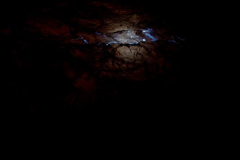 Shiny opalader in a dark layer of rock at Tom's Working Opal Mine, Coober Pedy, South Australia,