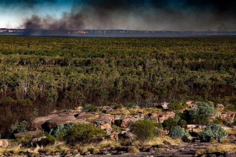 Extensive landscape with thick vegetation and smoke on the horizon in Kakadu National Park, Kakadu