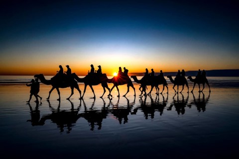Camel caravan at sunset on Cable Beach with impressive silhouettes, Broome, Western Australia,