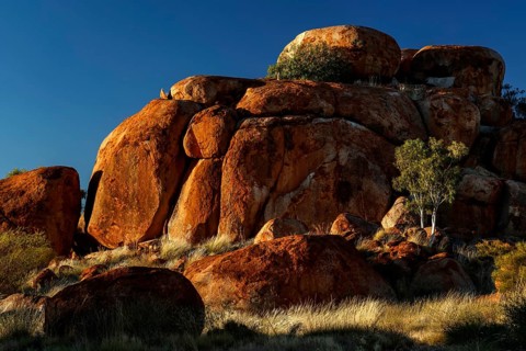 Majestic red rocks with scattered trees under bright blue sky, Devil's Marbles, Northern Territory,