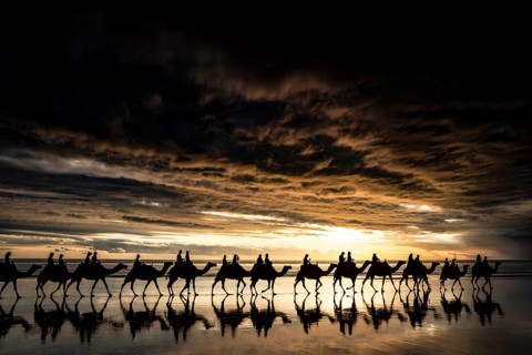 Sunset camel tour on Cable Beach in Broome, Broome, Australia