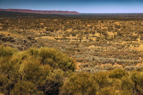 View of a vast, semi-desert landscape with scattered scrubland and clear sky, zero