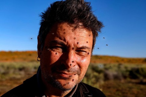 Portrait of a man surrounded by flies in a steppe-like landscape under clear sky, zero