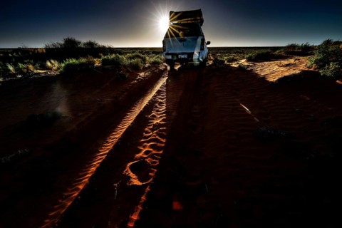 Vehicle leaves traces on sandy track at sunrise, Simpson Desert, Australia