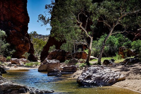 River with surrounding trees and rocks in an idyllic gorge, Simpson Gap, Northern Territory,