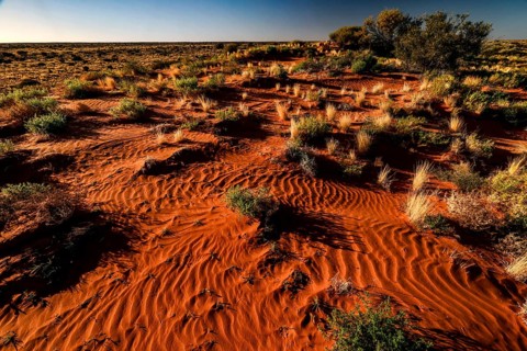 Extensive, sandy landscape of the Simpson Desert with sparse vegetation, zero