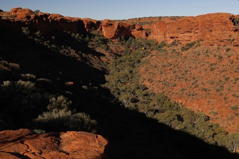 View of Kings Canyon with shady rocks and vegetation, Watarrka National Park, Northern Territory,