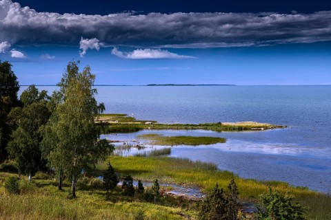 Üügu Pank cliff overlooking the wide, calm sea, Muhu, Estonia