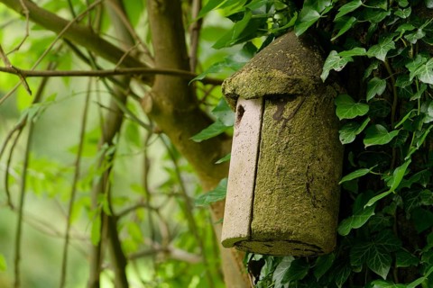 Old concrete birdhouse. summer in park. Hessen, Germany