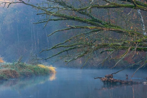 Peaceful river landscape between forest and meadow with mist and calm water in autumn, ray of light