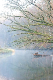 Peaceful river landscape between forest and meadow with mist and calm water in autumn, ray of light