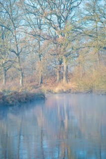 A misty river reflects trees, calm, autumnal atmosphere, peaceful scenery, river landscape with