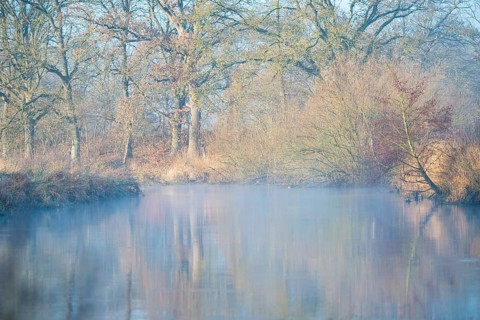 A misty river reflects trees, calm, autumnal atmosphere, peaceful scenery, river landscape with