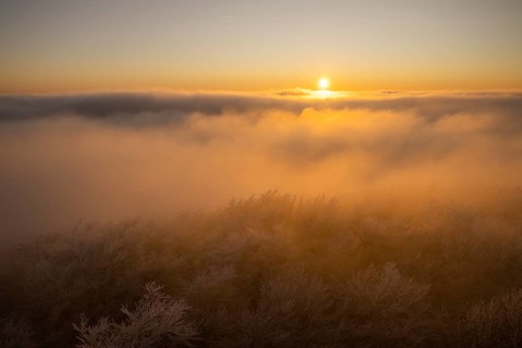 Beech forests at sunset with hoarfrost, view westwards of the crest of the Teutoburg Forest, after