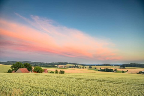 Wide fields with farmhouses under a colorful evening sky with cornfields in the foreground,