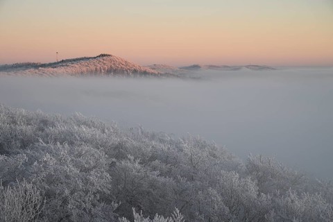 Snowy range of hills with frosty trees in the morning light, Hermannsweg an der Steinegge, Dissen