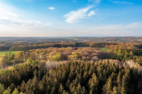Wide forest landscape with coloured treetops under blue sky in evening light, Osnabrücker Land,