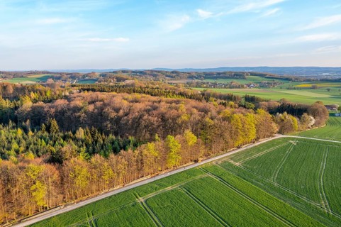 Wide landscape with forests and green fields under blue sky in spring, oblique aerial view,