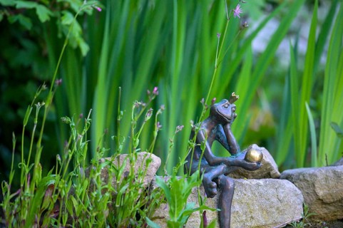 Garden sculpture of a frog frog prince surrounded by green plants and stones. Lower Saxony, Germany