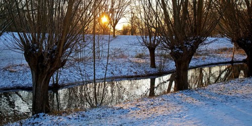Sunrise over Lower Rhine landscape on the Aubruch Canal in winter, Moers, Wesel district, Lower