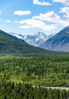 Mountain peak with snow and taiga, Alaska Range, Richardson Highway, Alaska, USA