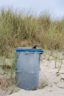 Single trash can on sandy beach in front of dune with oats, Baltic resort Göhren, Baltic Sea, Rügen