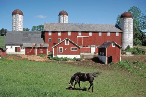 Dairy farm with silo towers, Marksborow, New Jesey, USA