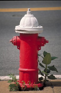 Red white hydrant, New York City, USA