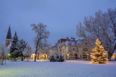Winter in the theatre park with St. Mary's Church and Christmas tree, Berndorf, Lower Austria,