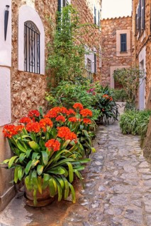 Garden flowers in pots in a idyllic narrow alley by residential stone houses in a village,