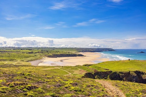 Scenics view at a natural sand beach from a flowering lush green moor with walking trails a sunny