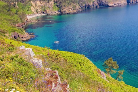 Flowering meadow on a steep rocky coast with turquoise water in the bay on a sunny summer day,