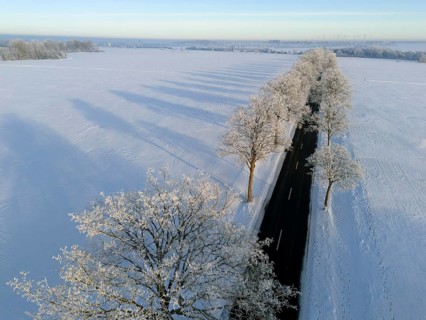 Snowy landscape with a tree-lined road and long shadows in sunlight, aerial view, winter,