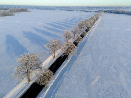 Landscape in winter with snow-covered fields and trees along a road, long shadows visible, aerial