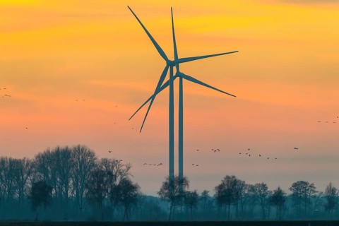 Wind turbines in front of an orange sunset with trees as silhouettes, Hüde, Dümmer nature park