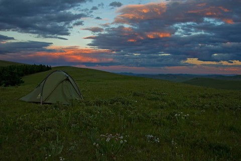 Single tent in blooming Mongolian grass steppe on a mountain ridge in the evening light with