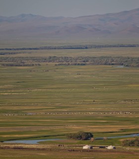 Yurts with large flock of sheep and horses in an extensive Mongolian steppe landscape with