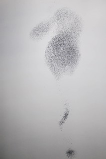 Starling (Sturnus vulgaris), huge flock of birds in formation flight of a so-called murmuration in