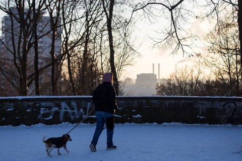 A walker with a dog runs on the Großer Bunkerberk with a view of the Berlin power plant in
