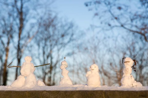 Little snowmen are standing in Volkspark Friedrichshain on 07.01.2026