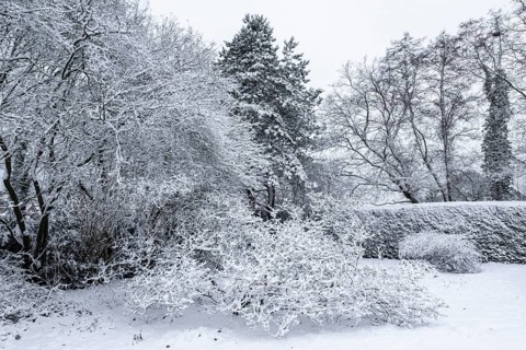 Winter garden landscape, Emsland, Lower Saxony, Germany