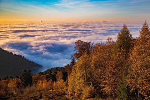 Aerial view, view from Königstuhl Heidelberg in evening light with Indian summer over autumnal fog