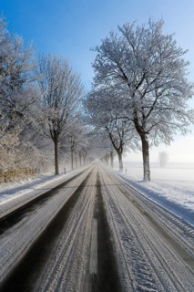 Long road in winter with frost-covered trees and clear sky, trees on an avenue with hoarfrost