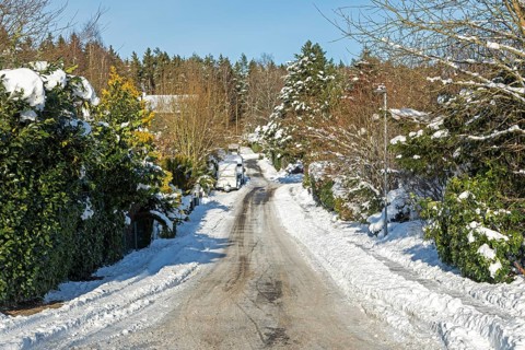 Snowy road, trees, winter, snow, Sieversen, Samtgemeinde Rosengarten, Lower Saxony, Germany