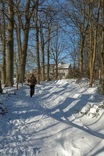 Man walking in snow, snowy path, trees, winter, Sieversen, Samtgemeinde Rosengarten, Lower Saxony,