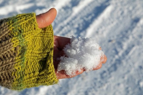 Snow in one hand, winter, Sieversen, Samtgemeinde Rosengarten, Lower Saxony, Germany