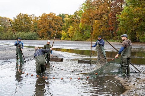 Fishing at Teichwirtschaft Ahlhorner Fischteiche, Ahlhorn, Lower Saxony, Germany