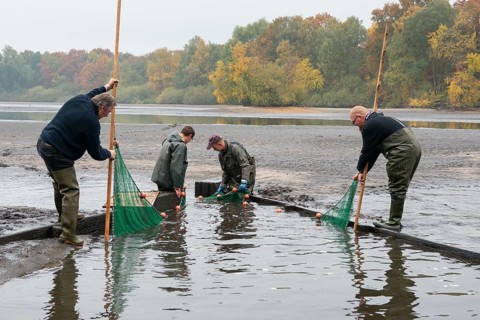 Fishing in the Ahlhorner Fischteiche pond farm, Ahlhorn, Lower Saxony, Germany